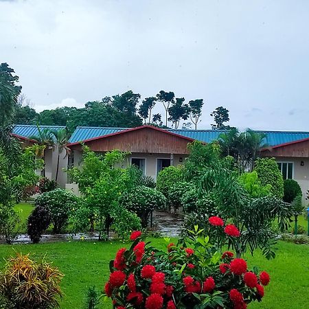 Greenland Safari, Sauraha Ngoại thất bức ảnh