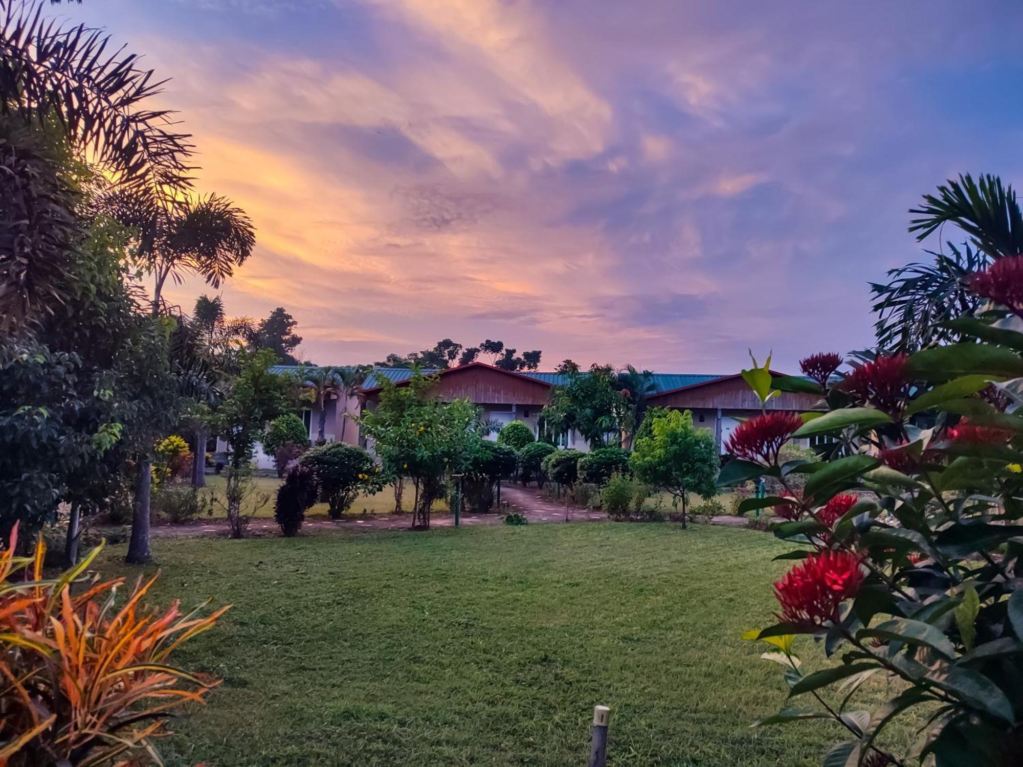 Greenland Safari, Sauraha Ngoại thất bức ảnh