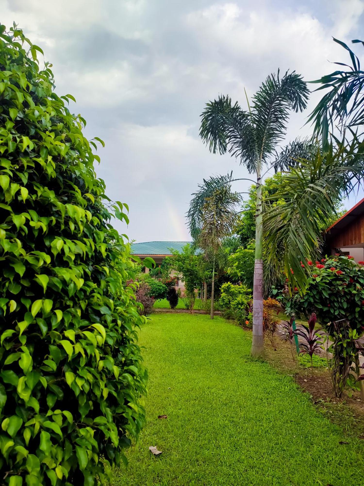 Greenland Safari, Sauraha Ngoại thất bức ảnh